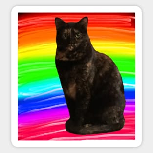 Rainbow Cat Sticker